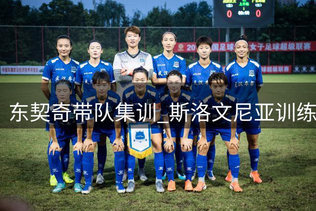 东契奇带队集训 斯洛文尼亚训练营火热进行中