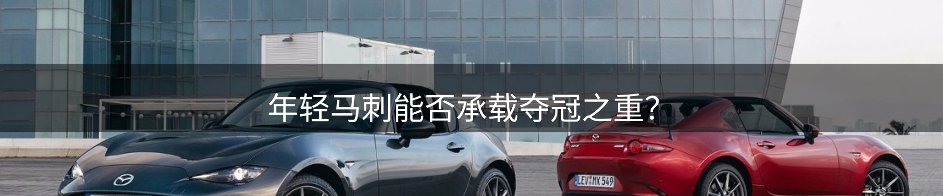 公司视点