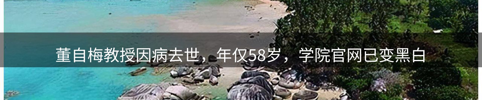 公司视点