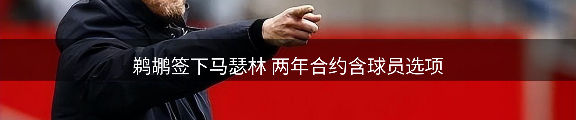公司视点