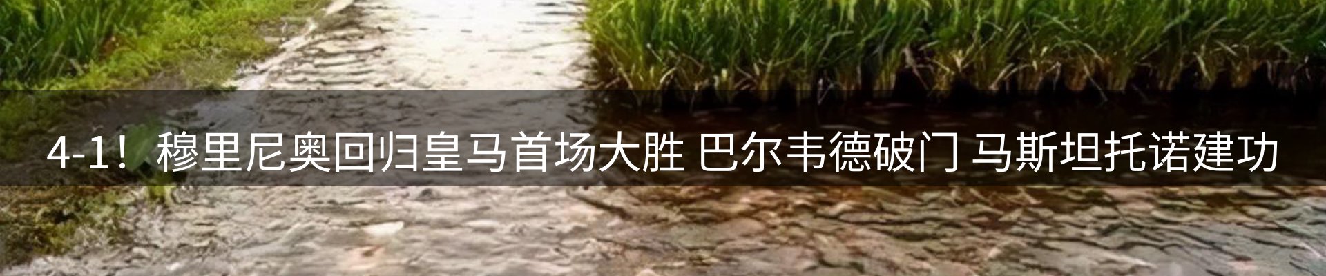 行业资讯